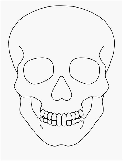 skull drawing easy scary - Jong Shearer