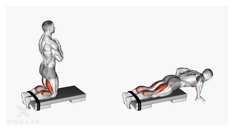 Nordic Ham Curl Exercise Guide: Muscles Worked, How-To,, 47% OFF