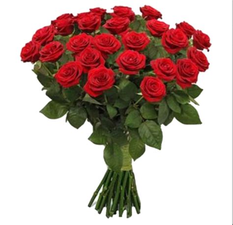 pngs for moodboards — pngs | Online flower delivery, Flower delivery, Send roses