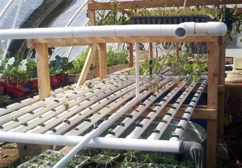 xPonics Urban Farm Tours: New Roots Aqua Farm | Epic Gardening