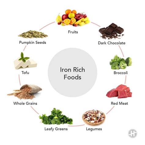 Iron Rich Foods - 8 Foods To Add To Your Iron Diet - Blog - HealthifyMe