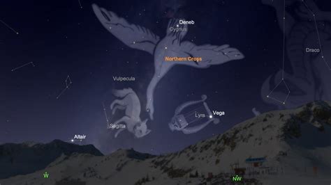 Cygnus The Swan Constellation Seduces Across Ancient Greek, Hindu, and ...