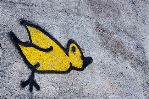 Graffiti street art of lone yellow bird on gray textured wall in Dublin | Basteln