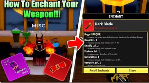 How to Enchant Sword Using Scrolls in Blox Fruits Update 20