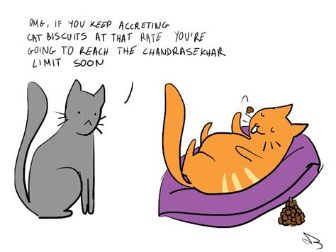 Adventures of Schrödinger's Cat: #30 Chandrasekhar Limit