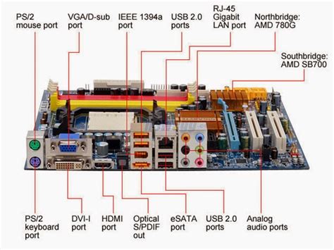 Netware: Desktop Motherboard Ports & Their Functions