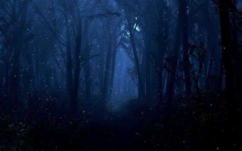 Night Time Forest Wallpapers - Top Free Night Time Forest Backgrounds ...