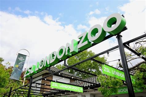 Cheap London Zoo Tickets - Save up to 30%