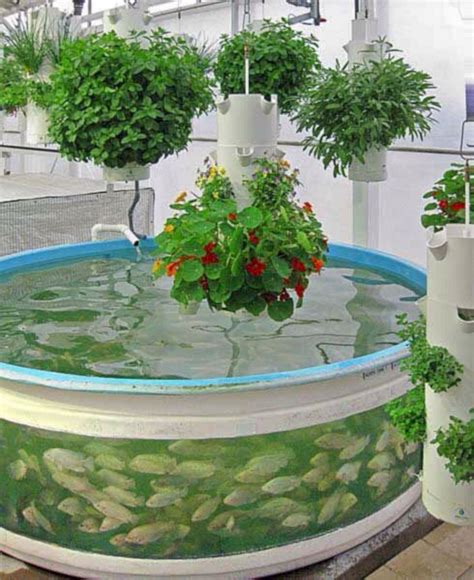 How To Build Your Own Indoor Hydroponic System