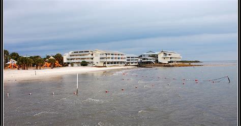 Cedar Key (Florida) Photos: On the beach - Cedar Key