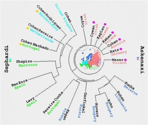 YDNA Haplogroup J | J1 and J2 - Your DNA Guide - Diahan Southard