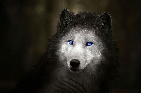 Wolf Eye Desktop Wallpapers - Wallpaper Cave