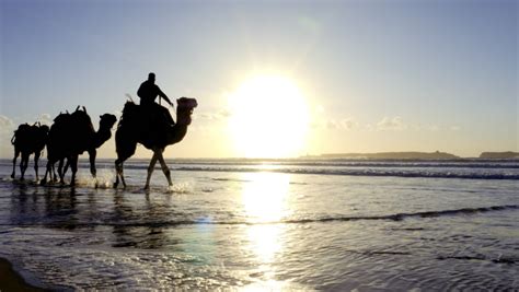 Essaouira beach Stock Video Footage - 4K and HD Video Clips | Shutterstock