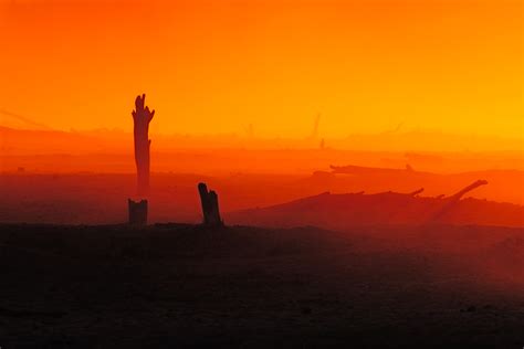 African Sunset And Tree Trunks • Landscape Photography Prints