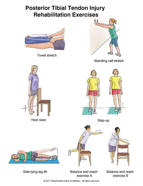 posterior tibial tendon exercises | Rehabilitation exercises, Physical ...