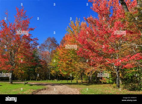 Brilliant fall foliage in rural Nova Scotia, Canada Stock Photo - Alamy