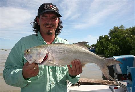 Fish Facts: Blue threadfin salmon - Fishing World Australia