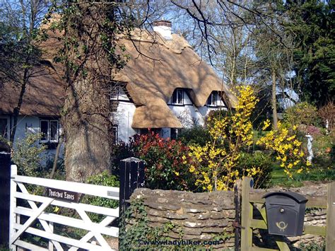 Charming Cottage in the New Forest