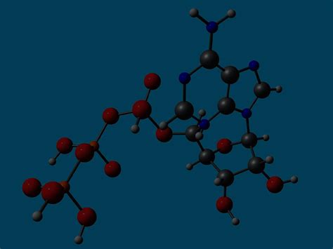 Structure of Coenzyme A