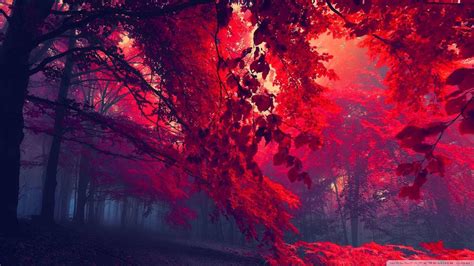 Red HD Wallpapers 1080p (73+ images)