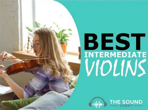 Different Types Of Violins - What Are They & Which Is Best For You?