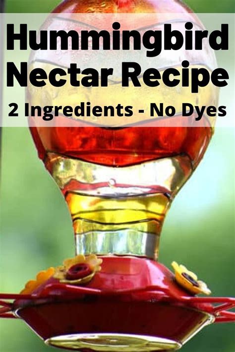 Easy Hummingbird Food Recipe | Hummingbird nectar recipe, Hummingbird food, Nectar recipe