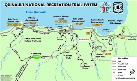 Quinault Trail System | Olympic national forest, Olympic national park ...