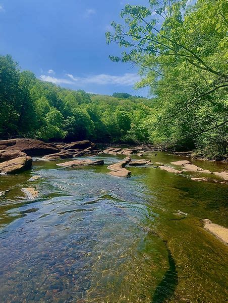 Chattahoochee River Fly Fishing Guide