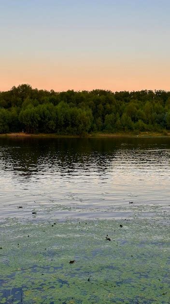 Premium Photo | Evening landscape of belarusian nature with lake and forest