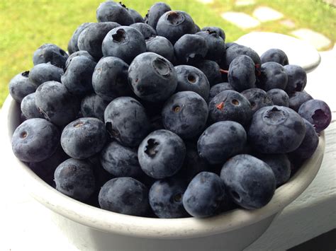 The best blueberry cake I ever ate! | Catching Health with Diane Atwood