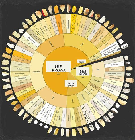 GOLDEN WIRES: Rodzaje serów. Types of cheeses.