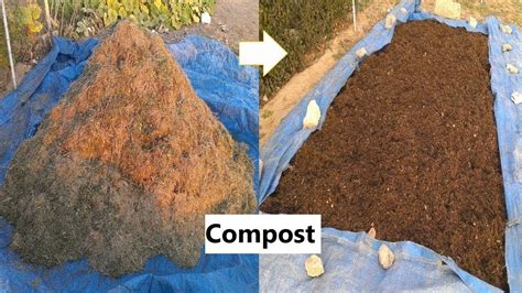 How to make compost from grass clippings for most vegetables, complete ...