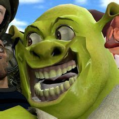 38 Shrek ️ ideas in 2022 | shrek, shrek memes, mood pics