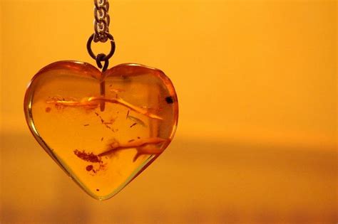 What is Amber? How is Amber Formed, Where is it Found and What is it Made of? | Earth Eclipse