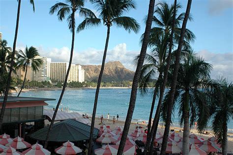 110+ Pink Hotel Waikiki Stock Photos, Pictures & Royalty-Free Images - iStock