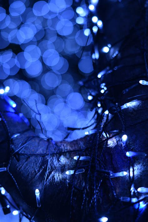 Wallpaper : Japan, sunlight, night, reflection, branch, blue, Nikon, christmas lights, Tokyo, Jp ...