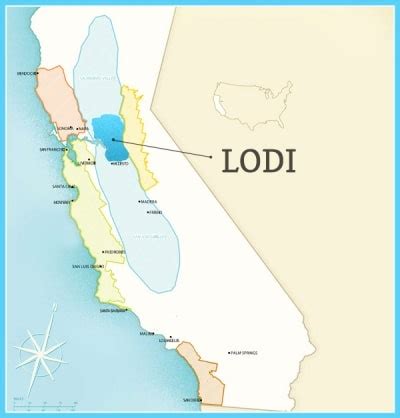 Lodi Wine Region | Red and White Wines in California