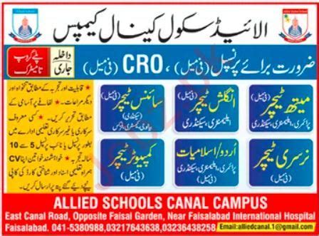 Positions Available at Allied School Faisalabad 2024 Job Advertisement ...