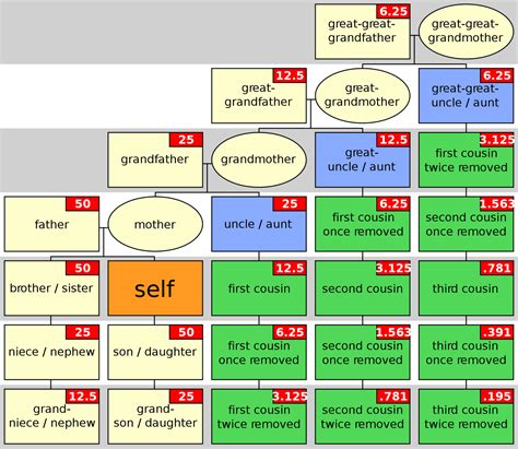 Dna genealogy, Family genealogy, Genealogy