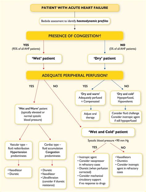 CME: Acute Decompensated Heart Failure - Charlie's ED