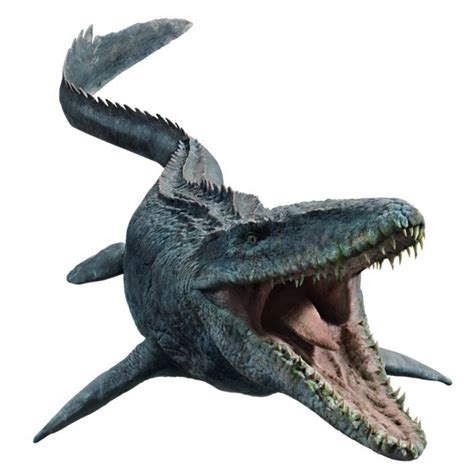 Mosasaurus Facts, Habitat, Diet, Size, Skeleton, Tooth, Fossils, Pictures