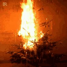 Burning Christmas Tree Burning Tree GIF - Burning Christmas Tree Burning Tree Flames - Discover ...