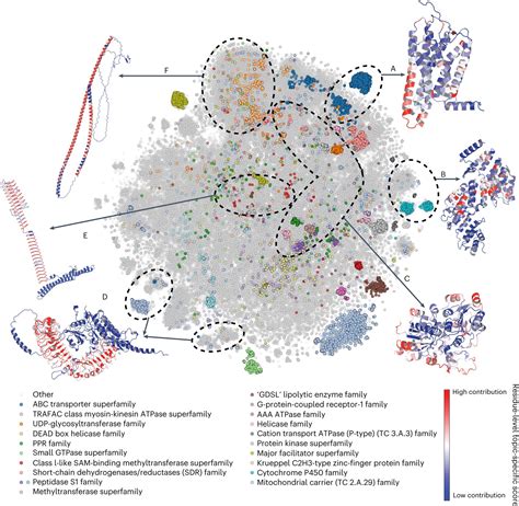 3d Protein Structure Modeling