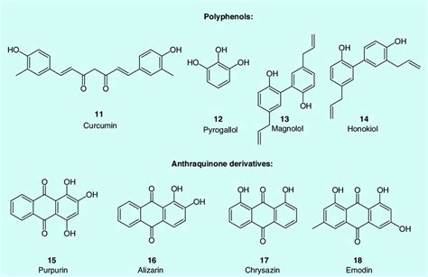 Downregulation of genes that encode adhesins. Structure of polyphenols... | Download Scientific ...