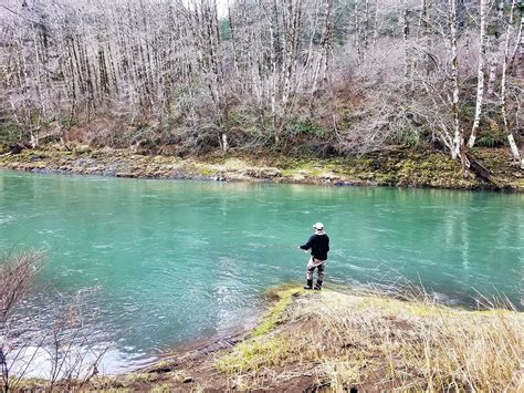 5 | Pere Marquette River Fly Fishing Guide - Outfittersnorth