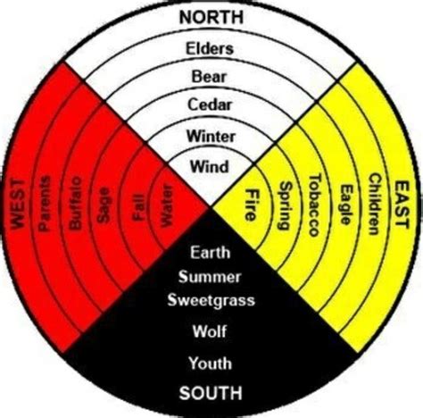 Pin by itslyssaleigh on indigenous || first nation || native | Native american medicine wheel ...