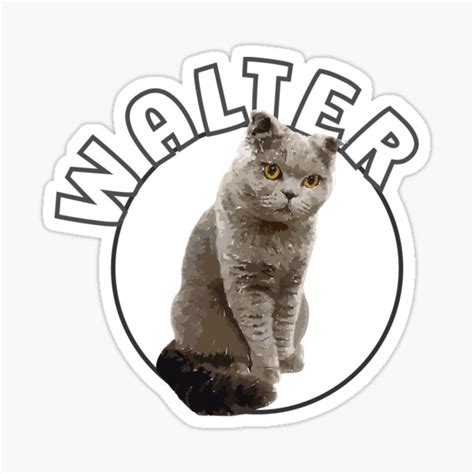 "Walter The Cat" Sticker for Sale by StarWheels | Redbubble