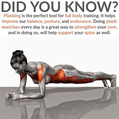 Rock Solid Abs & Core With These 11 Plank Variations - GymGuider.com | Plank workout, Exercise ...