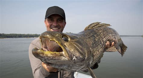 Chasing Monsters - BBC Earth