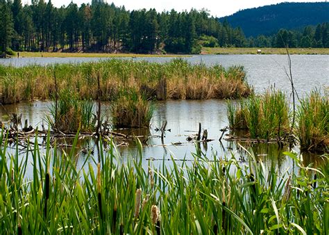 Fenton Lake State Park - State Parks